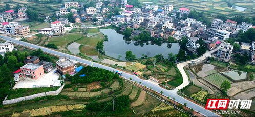 湘潭大學(xué)駐村幫扶工作隊(duì)助力邵陽(yáng)縣石蓮村發(fā)展