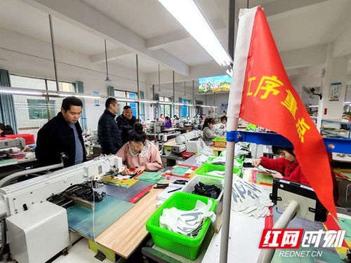 湖南新寧 送解優(yōu) 全鏈護航企業(yè)復工復產(chǎn)實現(xiàn) 開門紅