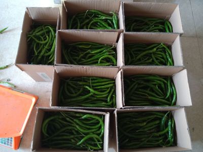 邵陽(yáng)縣石虎村綠色農(nóng)特產(chǎn)品直播網(wǎng)紅豪哥